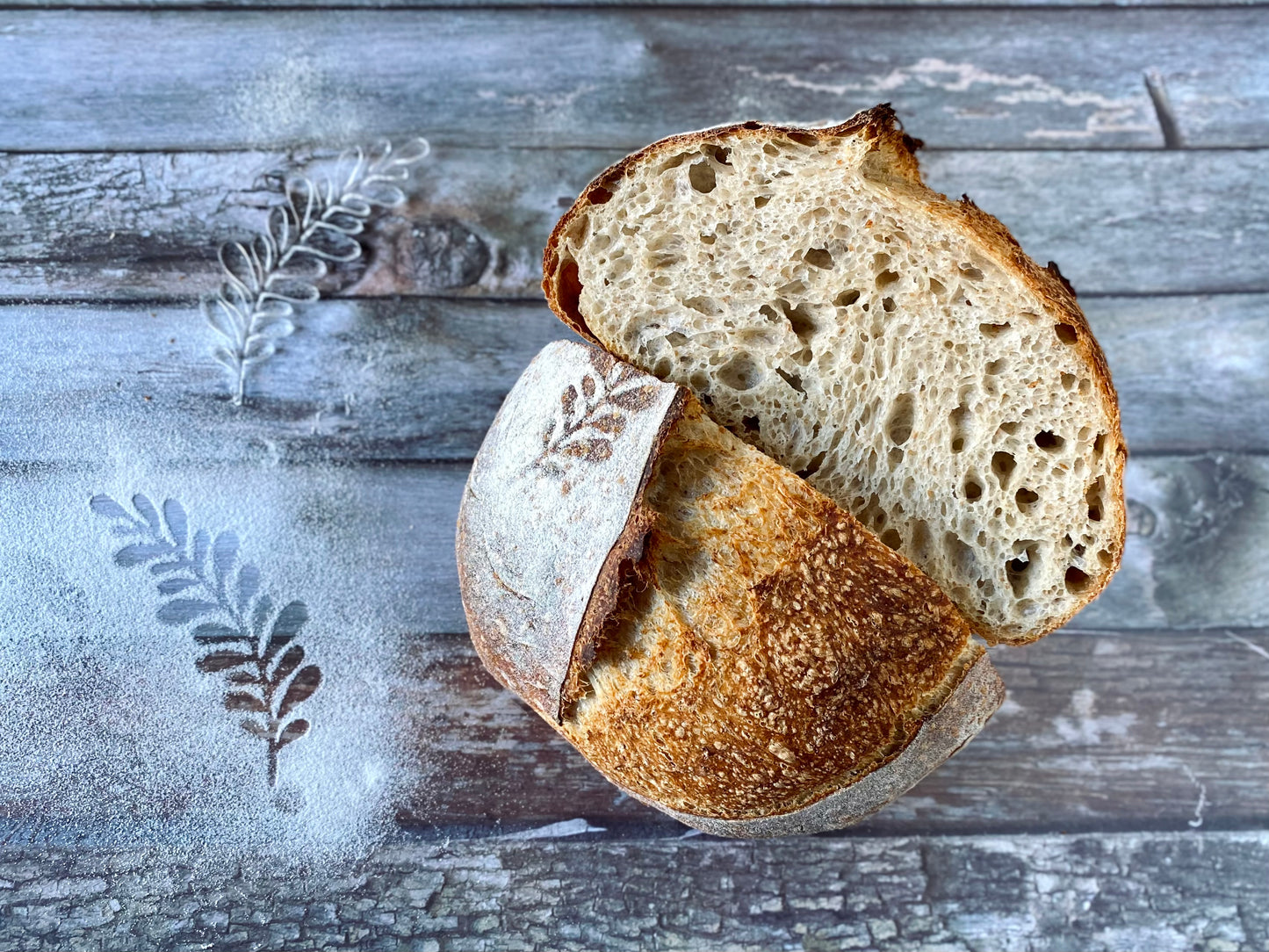 NEW! Set of 4 stencils for sourdough bread art (Botanical)