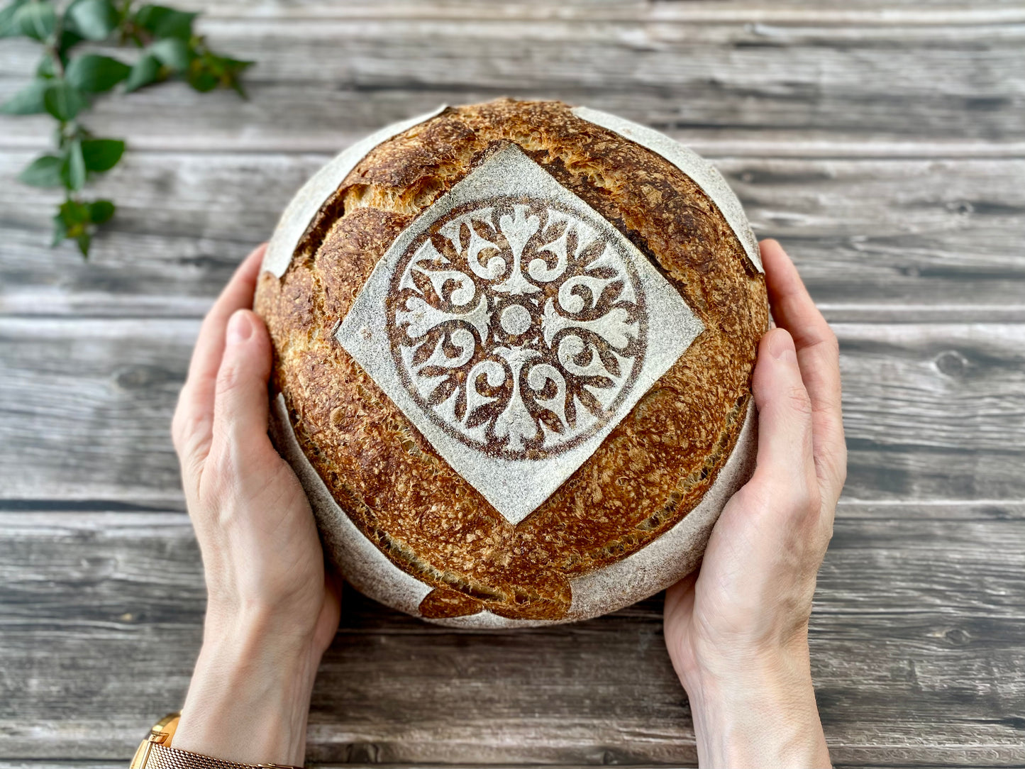 NEW! Set of 4 stencils for sourdough bread art (Clear/Transparent - Set 2)