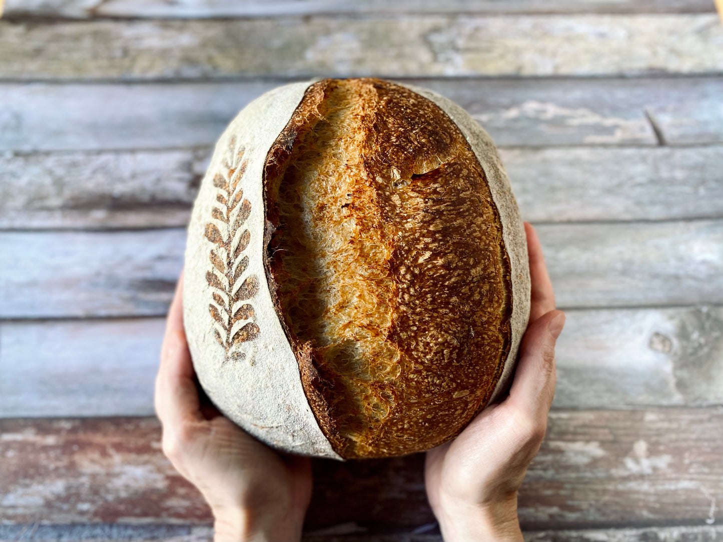 Set of 4 stencils for sourdough bread art (Botanical)