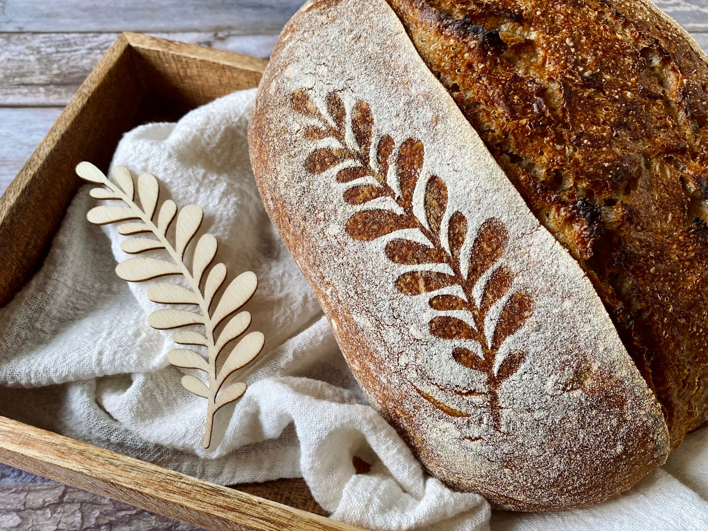 NEW! Set of 4 wooden stencils for sourdough bread art