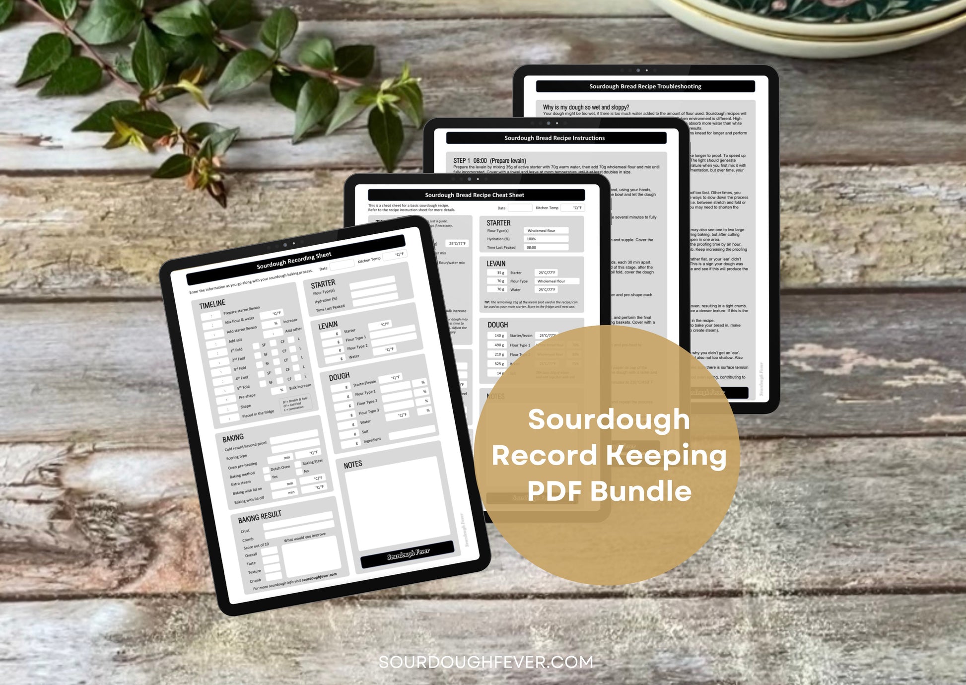 Sourdough Fever Record Keeping PDF