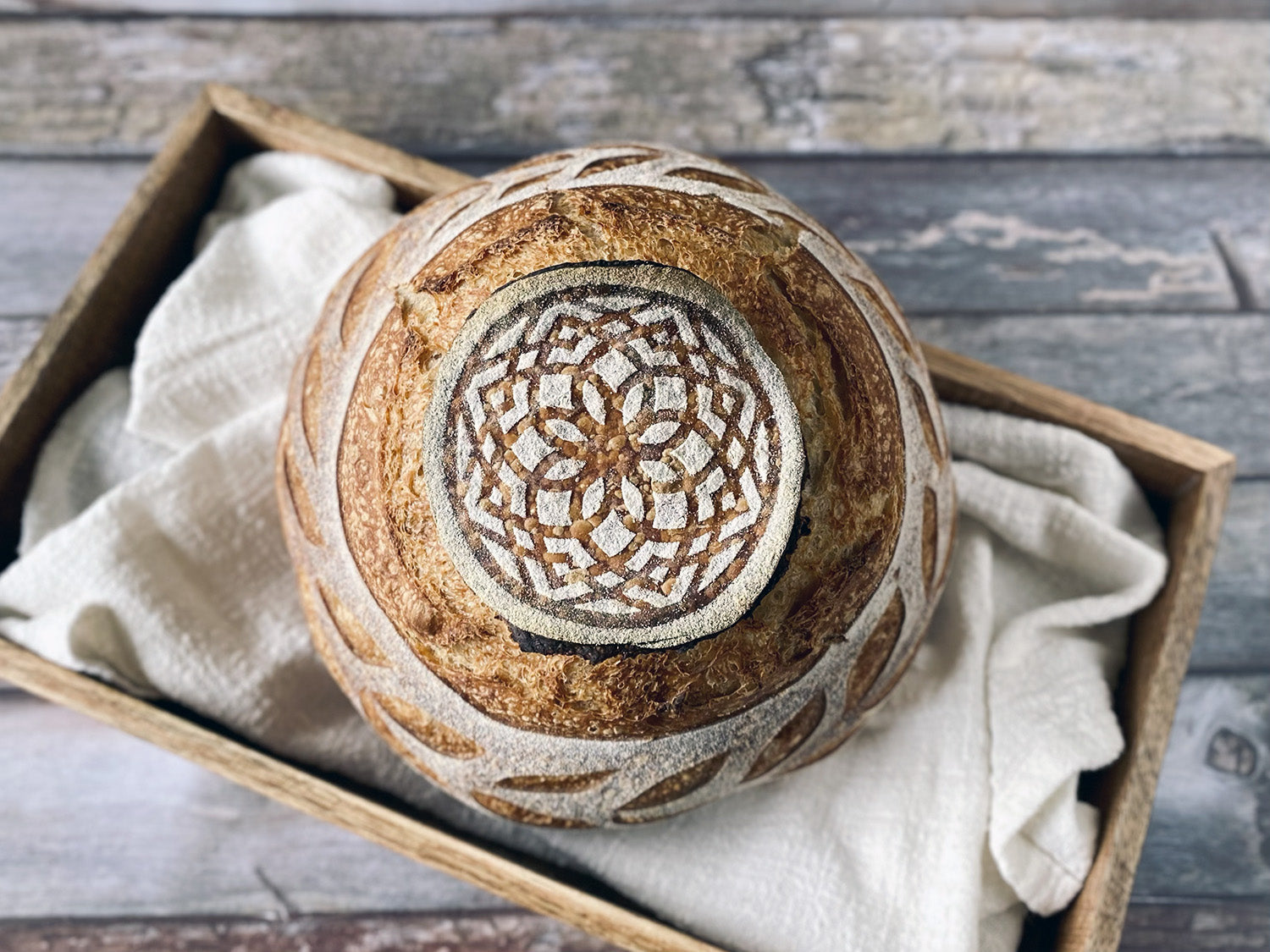 Sourdough Fever Stencils