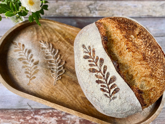 Set of 4 stencils for sourdough bread art (Botanical)